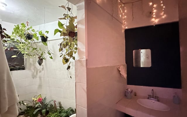 Ivans Inserat auf misterb&b - El baño también tiene muchas plantas, no siempre están todas. Hoy tocó regarlas. 