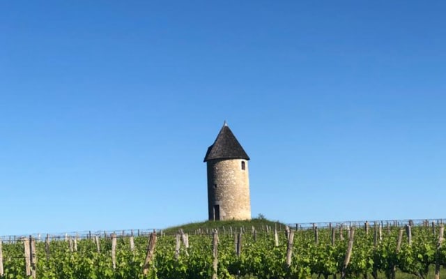 Ferme dans le vignoble. Profitez de la nature et de l'intimité.