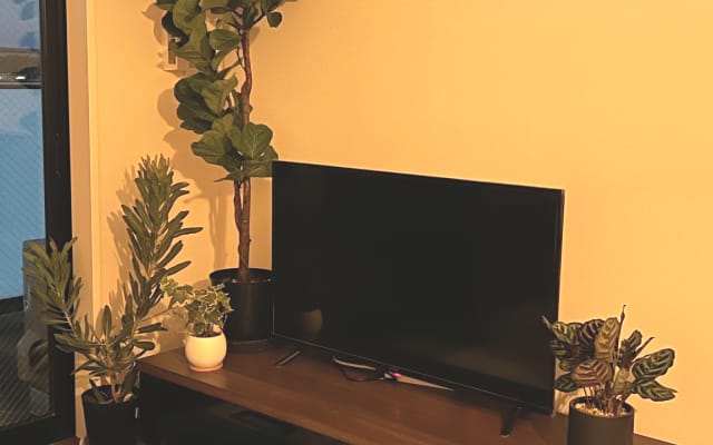 Apartamento novo, limpo e acolhedor numa localização super conveniente.