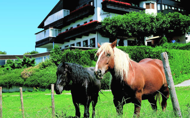 Pequeno hotel apenas a 3 km de Innsbruck