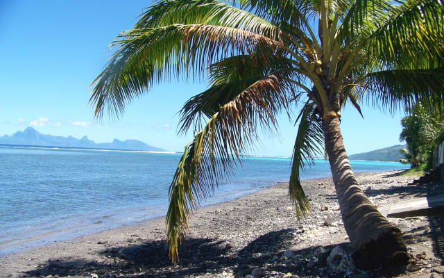 Annonce de Laurence sur misterb&b - plage publique de ROHOTU à 50m de la maison 