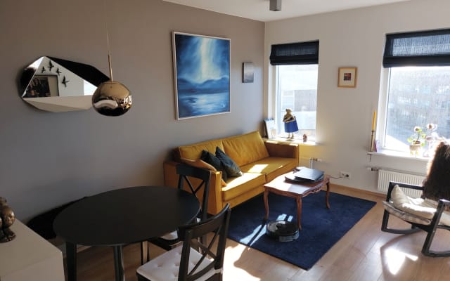 One bedroom next to the center of Reykjavik.  - Picture 6