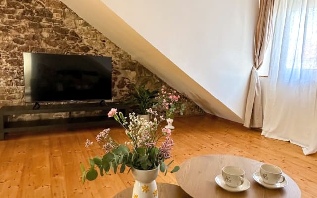 Pjaca Residence Penthouse
Unique apartment with great energy