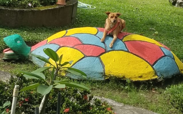 Venha para casa em Nuevo Arenal, Costa Rica. A sua casa na Costa Rica!