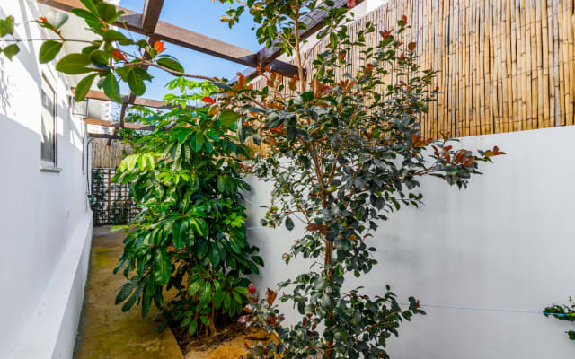 Cabane de pêcheur typique rénovée, patio tropical avec intimité totale.