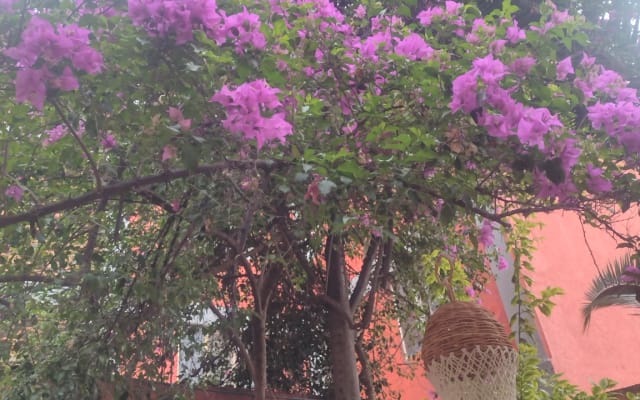 Belle maison à Oaxaca