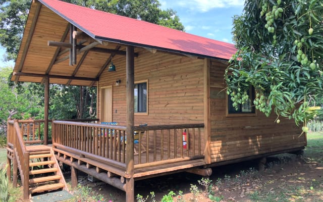 Cabane en rondins dans un parc naturel paradisiaque