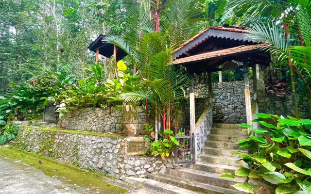 Jungle getaway outside Kuala Lumpur - The Cottage