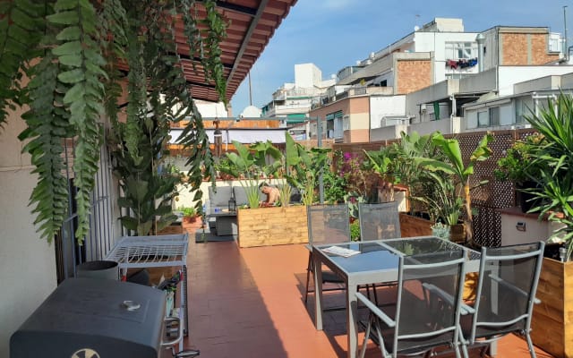 Rui's listing on misterb&b - Terraza con sol 😎 / terrace with sun ☀
