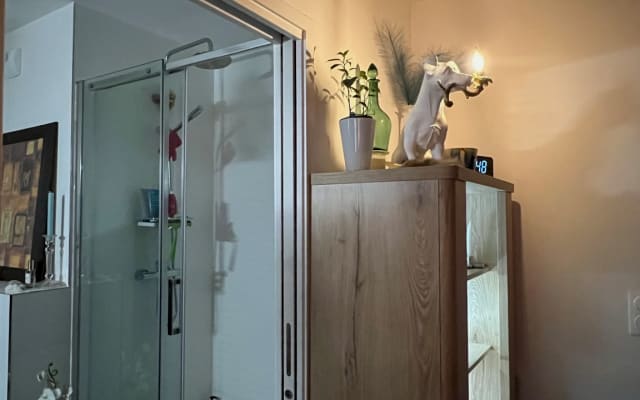 Beautiful apartment 15 minutes from the center of Paris, metro line 11. - Picture 7