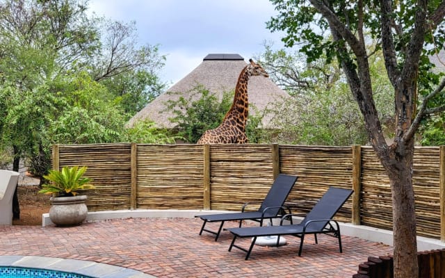Your own private chalet in the bush, your home away from home!