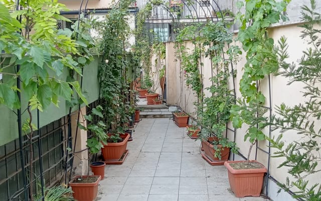 Double room with private bathroom and large terrace in Torpigna - Picture 24