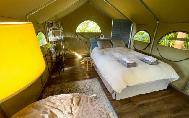 Jungle Canopy