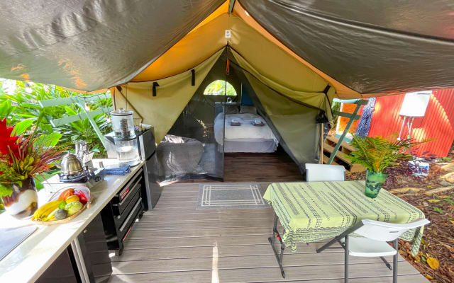 Jungle Canopy