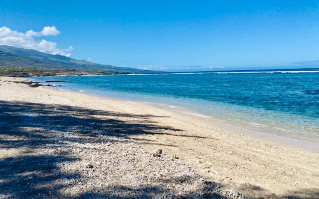 Studio tout confort à 100m de la plage et du lagon