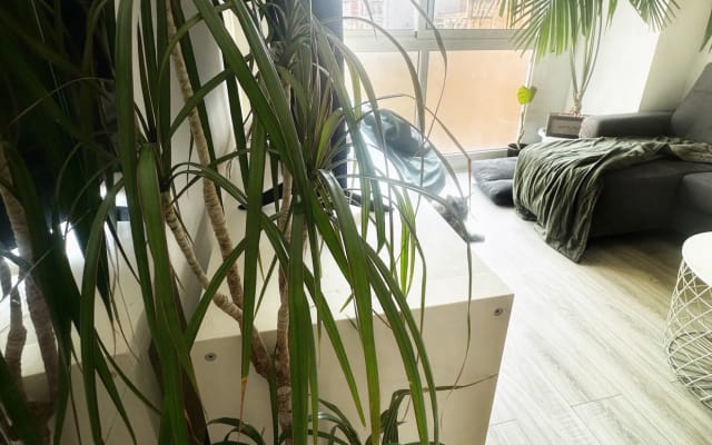 Bonito apartamento perfecto para 2 personas en Barcelona.