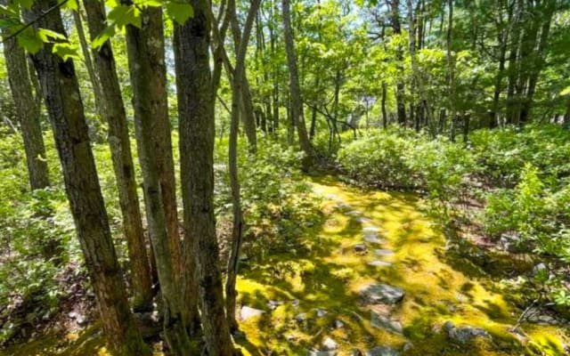 Moss Gardens Mountain Getaway
