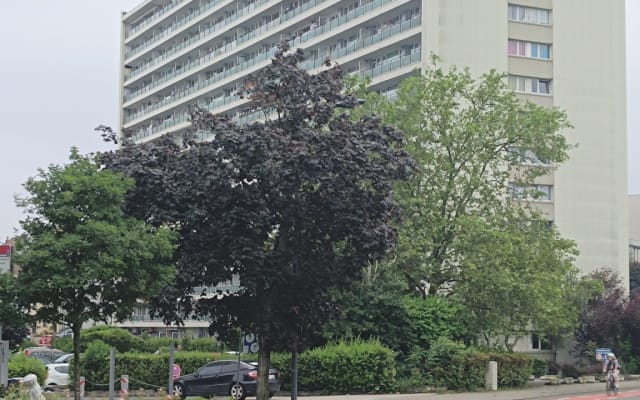 Privatzimmer und gemeinsames Appartement mit dem Gastgeber