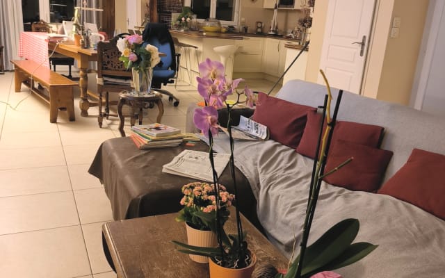 bed and breakfast for those who want to share a good time