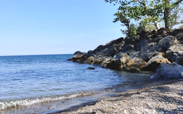 Clothing Optional Garden home in East Toronto, Birch Cliff  - Picture 7