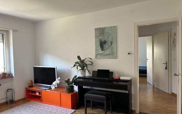 Belo apartamento no centro da cidade perto de Messe Basel/ Rheinufer