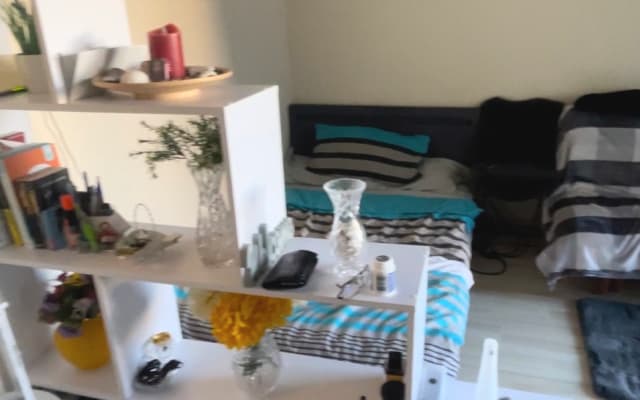 Appartement 1 pièce confortable , à 1 km de la vieille ville .
- copier...