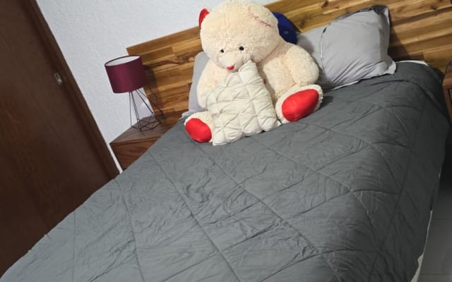 Linda recamara pata una o dos personas.
Cama Queen.