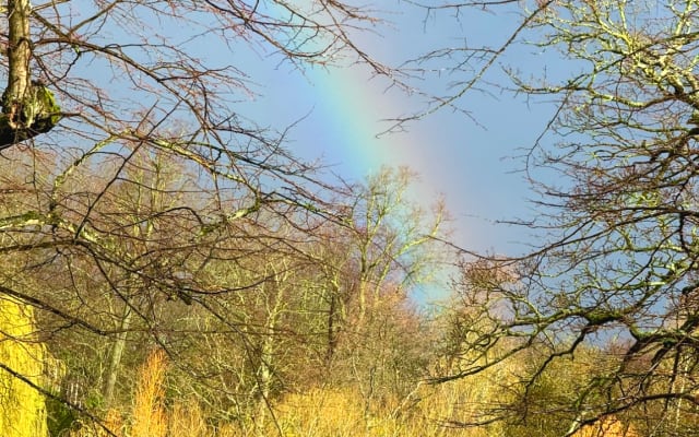 Appartamento molto spazioso al 1° piano con vista sul parco