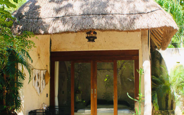 Diego and Frank's Jungle Sanctuary - Picture 5