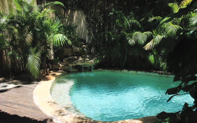 Diego and Frank's Jungle Sanctuary - Picture 10