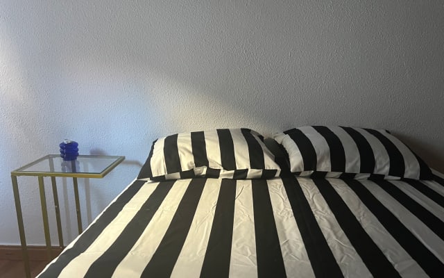I rent a wonderful room at my apartment in Madrid.