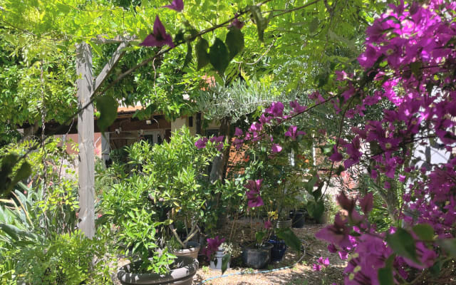 L'annuncio di Florian su misterb&b - Giardino fiorito e atmosfera mediterranea