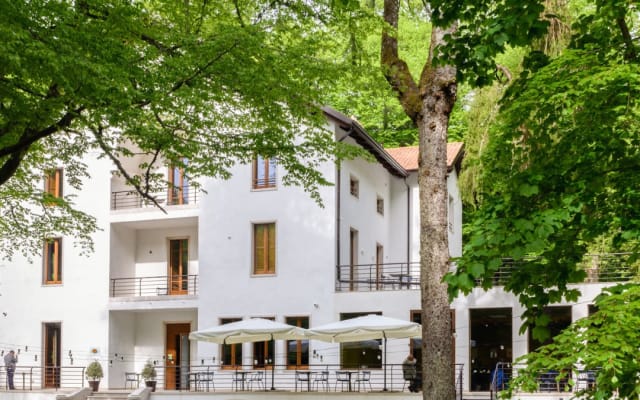 Chambre d'hôtel au cœur de la forêt d'Umbra