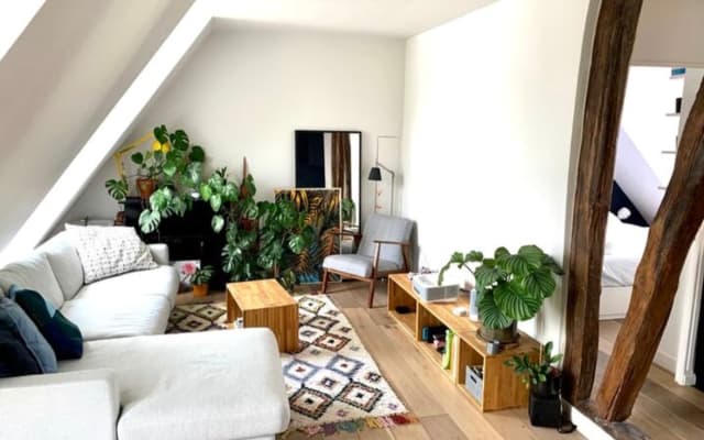 APPT, ST VINCENT DE PAUL IN PARIS FOR 2