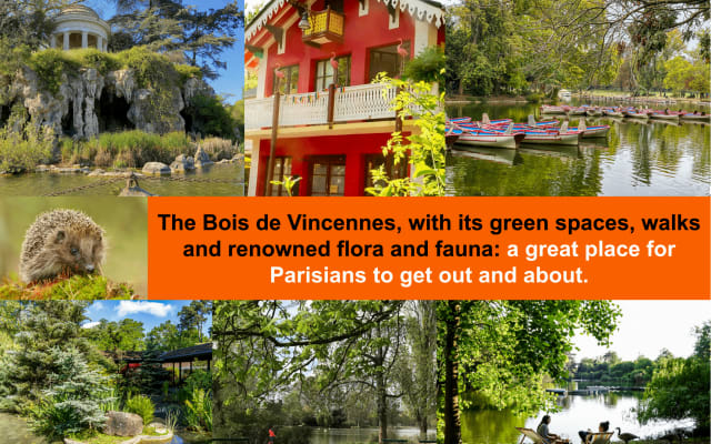 GARRI's listing on misterb&b - Bois de Vincennes