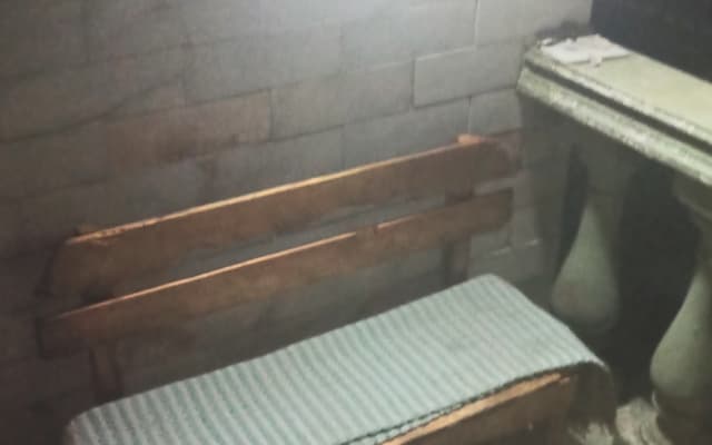 Comfortable, clean, comfortable house with two nice pets.