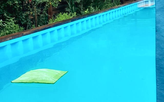 Ecolodge avec piscine dans un jardin tropical - Photo 17