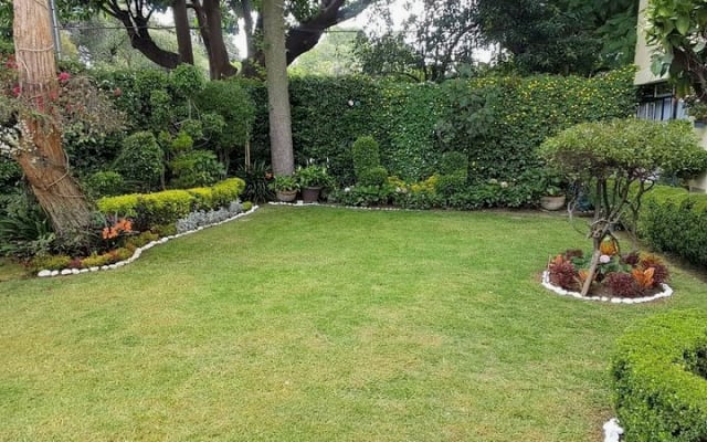 Beautiful apartment three blocks from the historic center of Coyoacan,