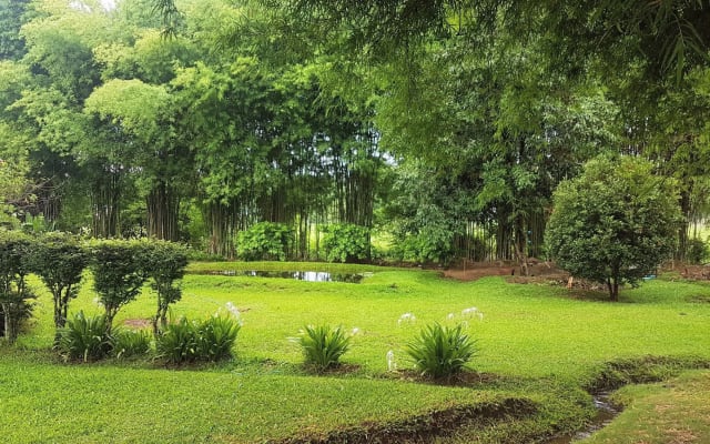 Ban Dalah, um ambiente bonito e sereno no coração de Pai