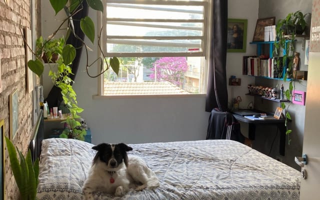 Beautiful & Cozy room in the heart of São Paulo’s LGBT Center