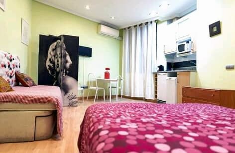 PRECIOSO APARTAMENTO EN EL CENTRO DE MADRID - copiar 01