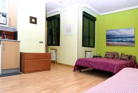 PRECIOSO APARTAMENTO EN EL CENTRO DE MADRID - copiar 01