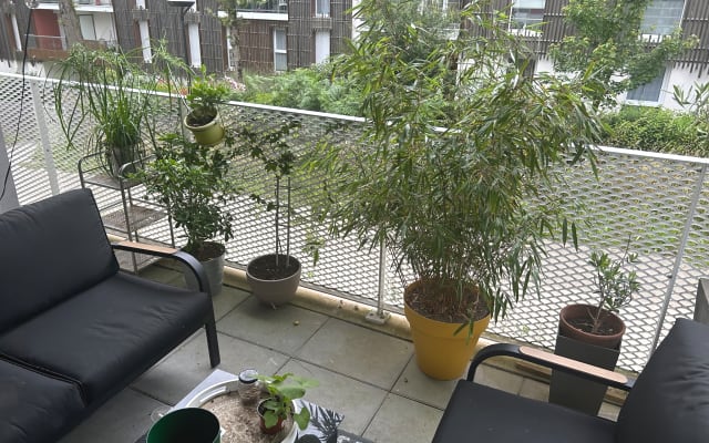 Wohnung von 50m2 mit einer Terrasse von 12m2 . Schlafzimmer 12m .