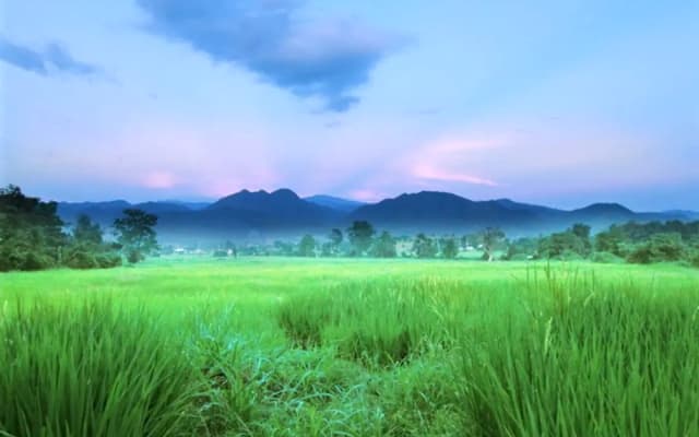 Ban Dalah, un magnifique environnement serein à 3,3 km de Pai. Chambre 