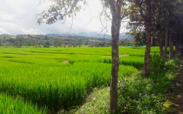 Ban Dalah, um ambiente bonito e sereno a 3,3 km de Pai Quarto 2