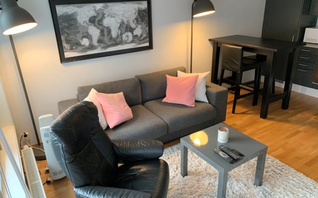 Bellissimo appartamento nudo nel centro di Oslo