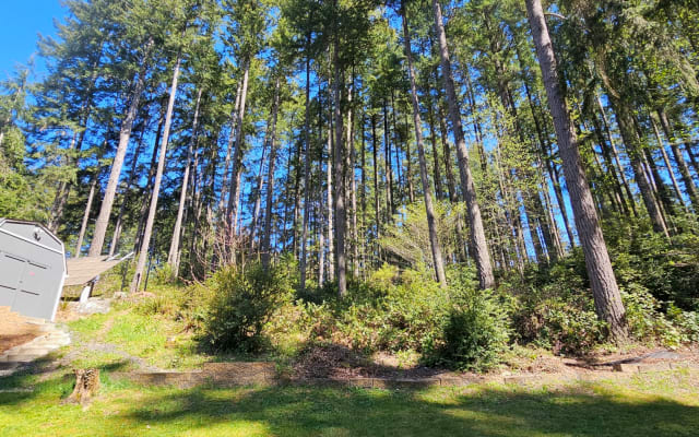 Camp David - eine schöne, ruhige Oase mitten im Wald - Foto 5