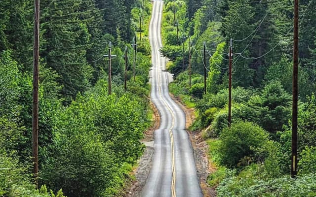 Camp David - eine schöne, ruhige Oase mitten im Wald - Foto 13