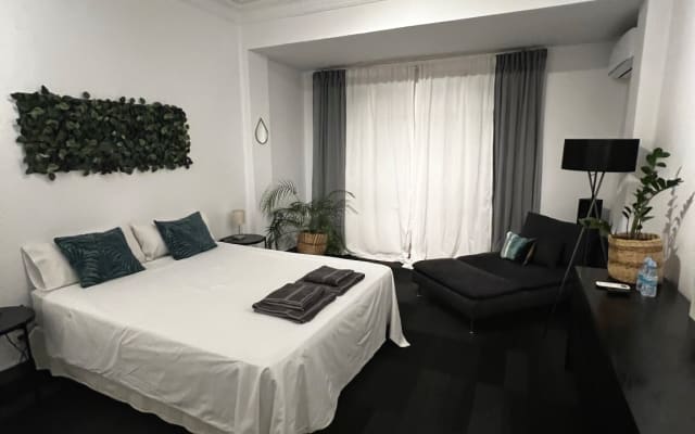 Valencia city center. Large room with private bathroom