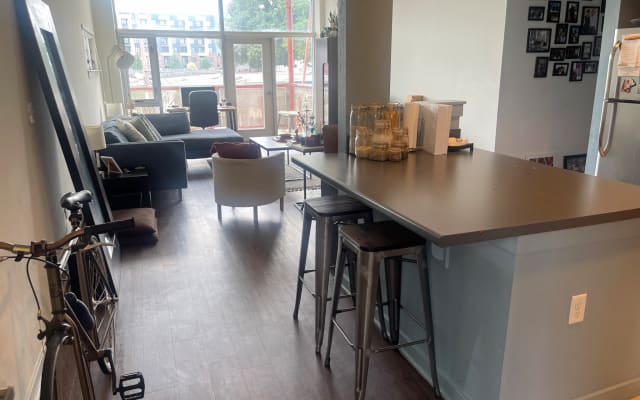 Gorgeous room in culture filled artdeco apartment in the Arts District